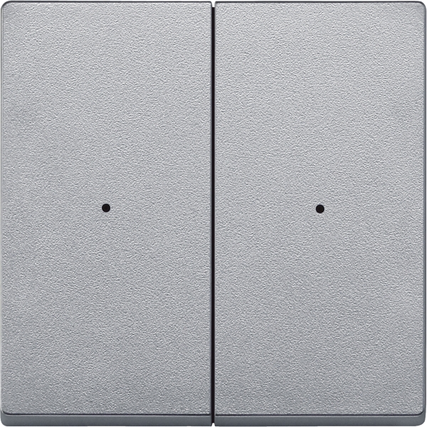 Merten MEG5220-0460 Wippen für Taster-Modul 2-fach aluminium System M