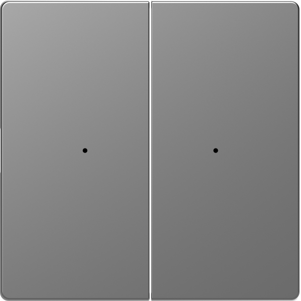 Merten MEG5220-6036 Wippen für Taster-Modul 2-fach Edelstahl System Design