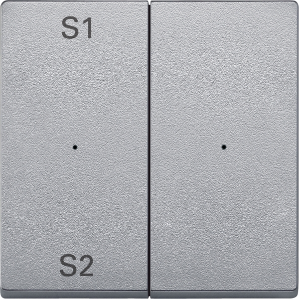 Merten MEG5226-0460 Wippen für Taster-Modul 2-fach (Szene1/2 blank) aluminium System M