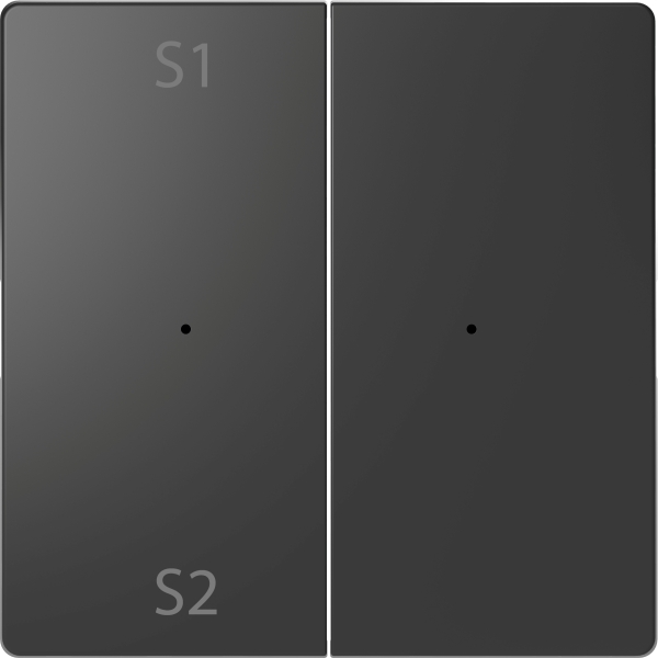 Merten MEG5226-6034 Wippen für Taster-Modul 2-fach (Szene1/2 blank) Anthrazit System Design