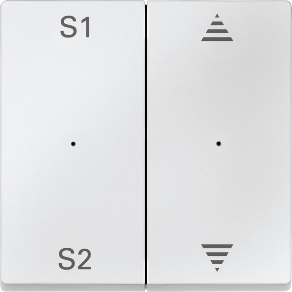 Merten MEG5227-0419 Wippen für Taster-Modul 2-fach (Szene1/2 Pfeile Auf/Ab) polarweiß System M