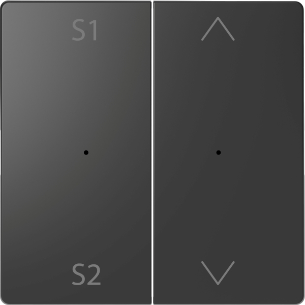Merten MEG5227-6034 Wippen für Taster-Modul 2-fach (Szene1/2 Auf/Ab) Anthrazit System Design