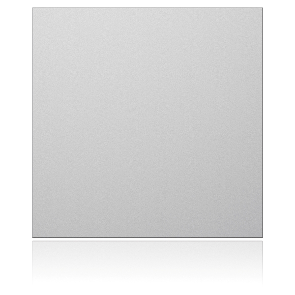 Ritto 1876620 Portier Blindmodul silber