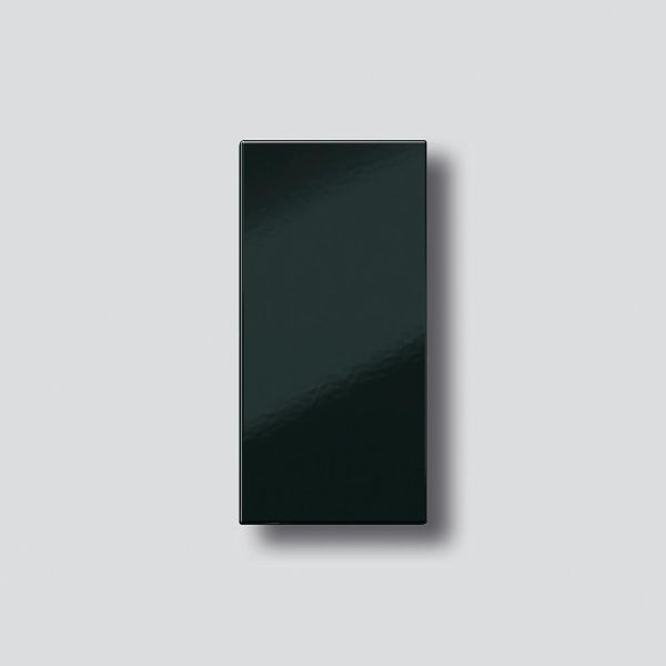 Sonderartikel: Siedle TM612-1,BTM650-01SH Klingeltaste ohne Glockensymbol Schwarz-Hochglanz 200029934-00