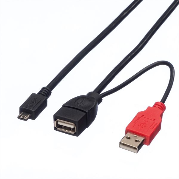 roline 19.08.1009 USB 2.0 Y-Kabel 2x Typ A (ST / Buchse)/Micro B Stecker 1 Meter
