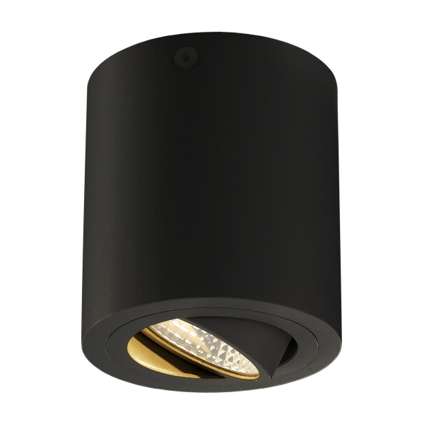 SLV 113930 TRILEDO, Deckenleuchte, LED, 3000 K, rund, schwarz matt, 38°, 6,2 W, inkl. Treiber