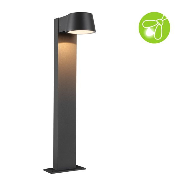 Paulmann 947.15 LED Pollerleuchte Capera insektenfreundlich IP44 500 mm 2200K 6W 450lm 230V 98° Anthrazit Aluminium