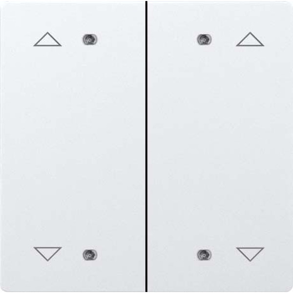 Eltako DW-B4FT65-wg+2P Doppelwippe lasergraviert reinweiß glänzend 30005200
