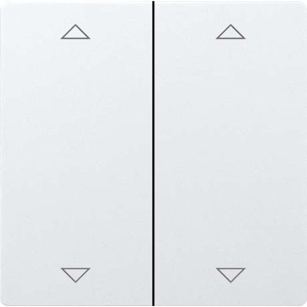 Eltako DW-F4FT65-wg-2P Doppelwippe lasergraviert reinweiß glänzend 30065962