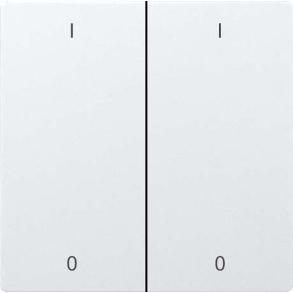 Eltako DW-F4FT65-wg-IO Doppelwippe lasergraviert reinweiß glänzend 30065963