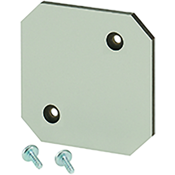 Hensel EB MP 02 Montageplatte aus Isolierstoff 4 mm stark, für EB 02.. Leergehäuse