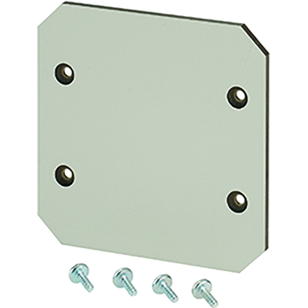 Hensel EB MP 06 Montageplatte aus Isolierstoff 4 mm stark, für EB 06.. Leergehäuse