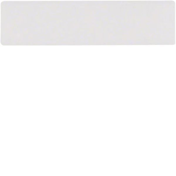 Elcom AVZ-NNE Namensschild-Einleger 49,6 x 12 mm REH012Y