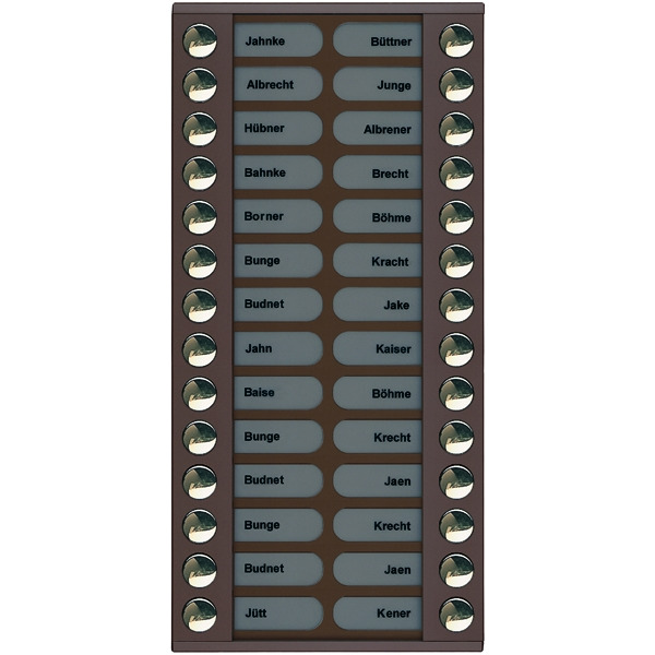 TCS PET28-EB/04 Klingeltastenerweiterung für Audio Außenstation Serie PES/AVE 28 Klingeltasten (rechts-/linksbündig) AP bronze