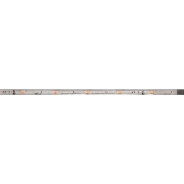 Dotlux 3943-027IP665M LED-Streifen 48W 10mm 2700K IP66 5 Meter-Rolle inkl. 50cm Anschlusskabel beidseitig