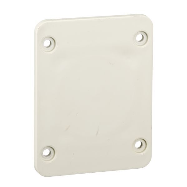 Schneider 13135 Gehäusezubehör, 65x85mm-Platte, für 50x50mm-Auslass