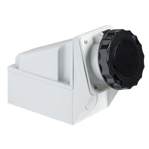 Schneider Electric 81186 Wandsteckdose 63A 3-polig +N+E 480-500 V AC IP67
