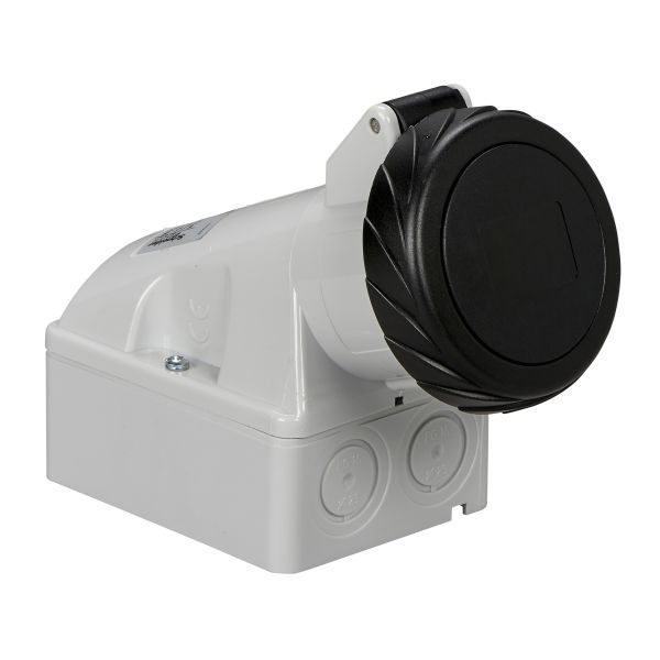 Schneider Electric 83162 Wandsteckdose 16A 3-polig +N+E 480-500 V AC IP67