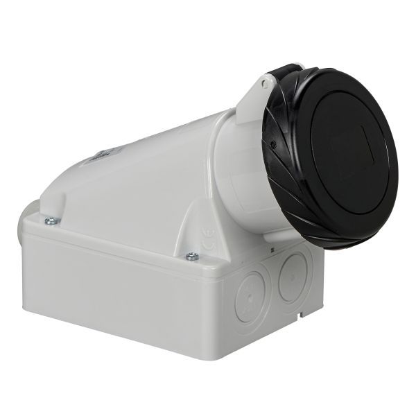 Schneider Electric 83173 Wandsteckdose 32A 3-polig +E 480-500 V AC IP67