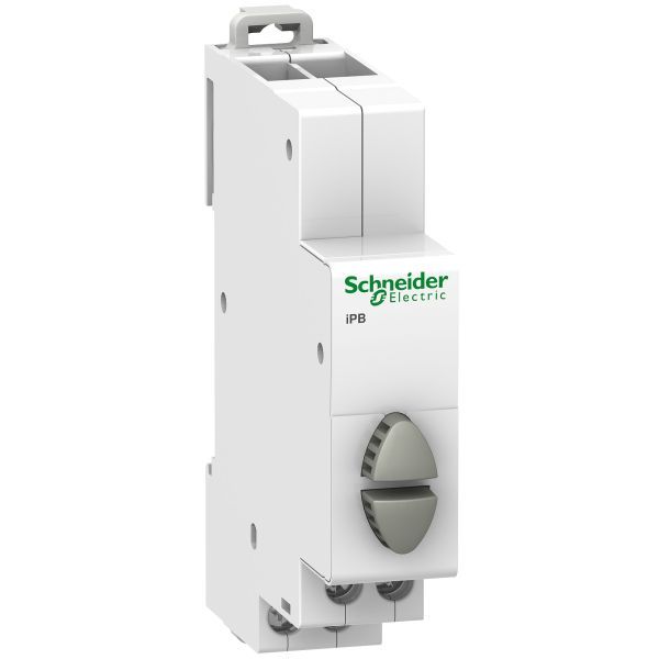 Schneider A9E18035 Doppel-Drucktaster iPB, 2 Schließer, Taste grau/grau
