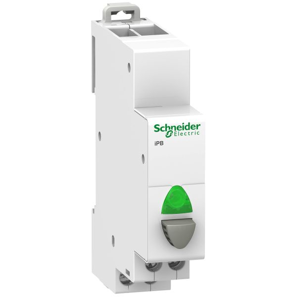 Schneider A9E18038 Drucktaster iPB, 1 Schließer, Taste grau, LED grün 12-48V AC/DC