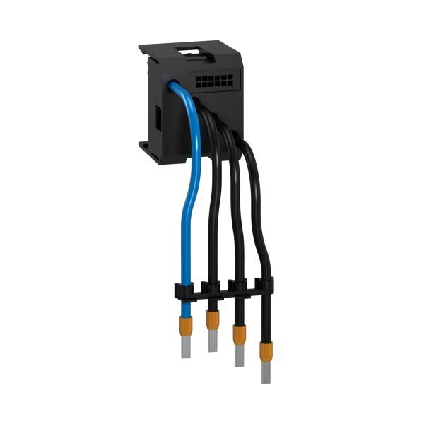 Schneider AK5PC13 Abgangsstecker, 3p, 16A, mit Leitung 200mm