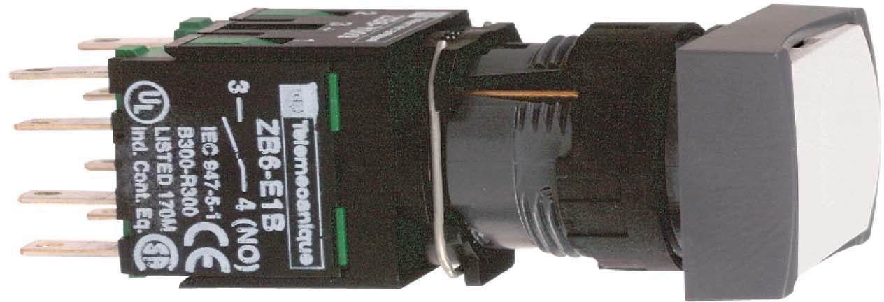 Schneider Electric XB6DA15B Drucktaster Ws