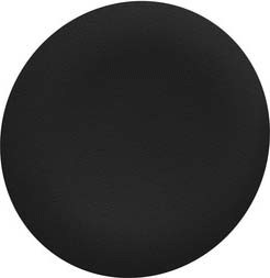 Schneider ZBAF2 Tastenschild für Frontelement flacher Einbau Ø 30mm in schwarz