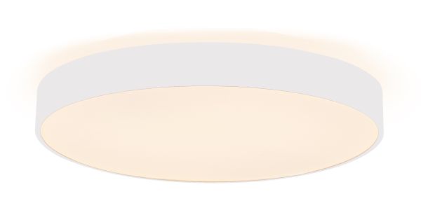 Deko-Light 348202 Decken- und Wandaufbauleuchte, Menkar 600 mm, 65 W, 3000/4000 K, Weiß, 220-240 V