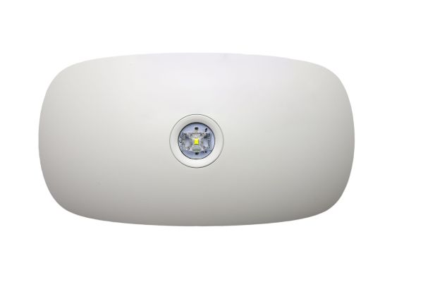 Deko-Light 731143 Notaufbauleuchte, Notleuchte Almach, 1 W, 4500 K, Weiß, 230 V/AC, 50 / 60 Hz, IP