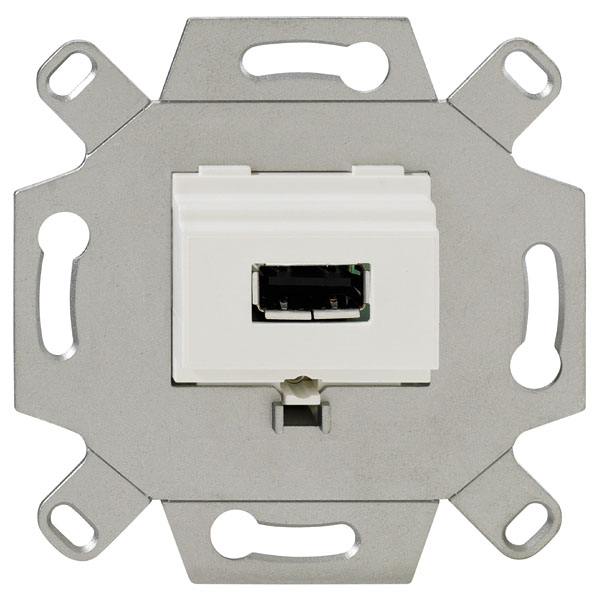 Rutenbeck 17010551 USB 2.0-Anschlussdose 1-fach mit 5 Schraubkontakten für handelsübliche TAE-Zentralstücke abbrechbarer Tragring für Stegversion