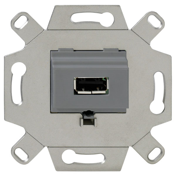 Rutenbeck 17010561 USB 2.0-Anschlussdose 1-fach mit 5 Schraubkontakten für handelsübliche TAE-Zentralstücke abbrechbarer Tragring für Stegversion