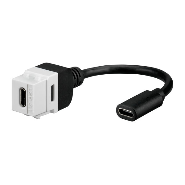 Rutenbeck 17010658 USB 3.1-Keystone Typ C (Buchse/Buchse) mit Kabelpeitsche 0,15 Meter für Montageadapter KMK-MA Up und andere Keystone-Aufnahmen
