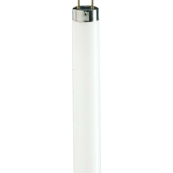 Philips TL-D De Luxe 58W/950 Leuchtstofflampe G13 4550lm 59,8W 1514,2mm 5200K 952 88871625