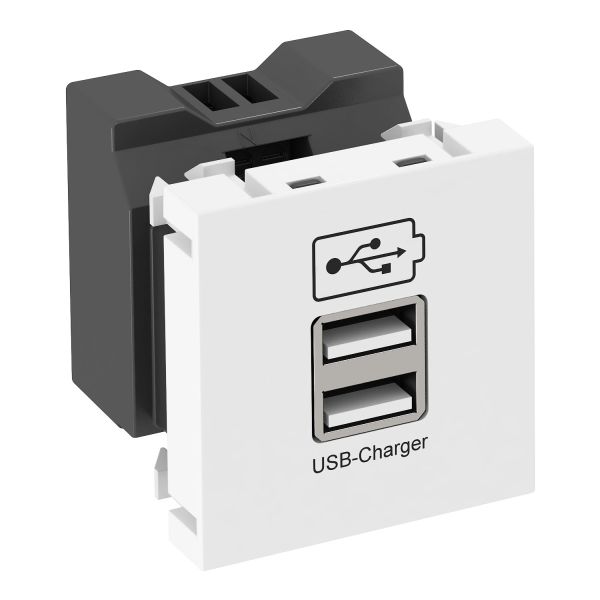OBO Bettermann 6105300 USB Ladegerät mit 2.1A Ladestrom MTG-2UC2.1 RW1