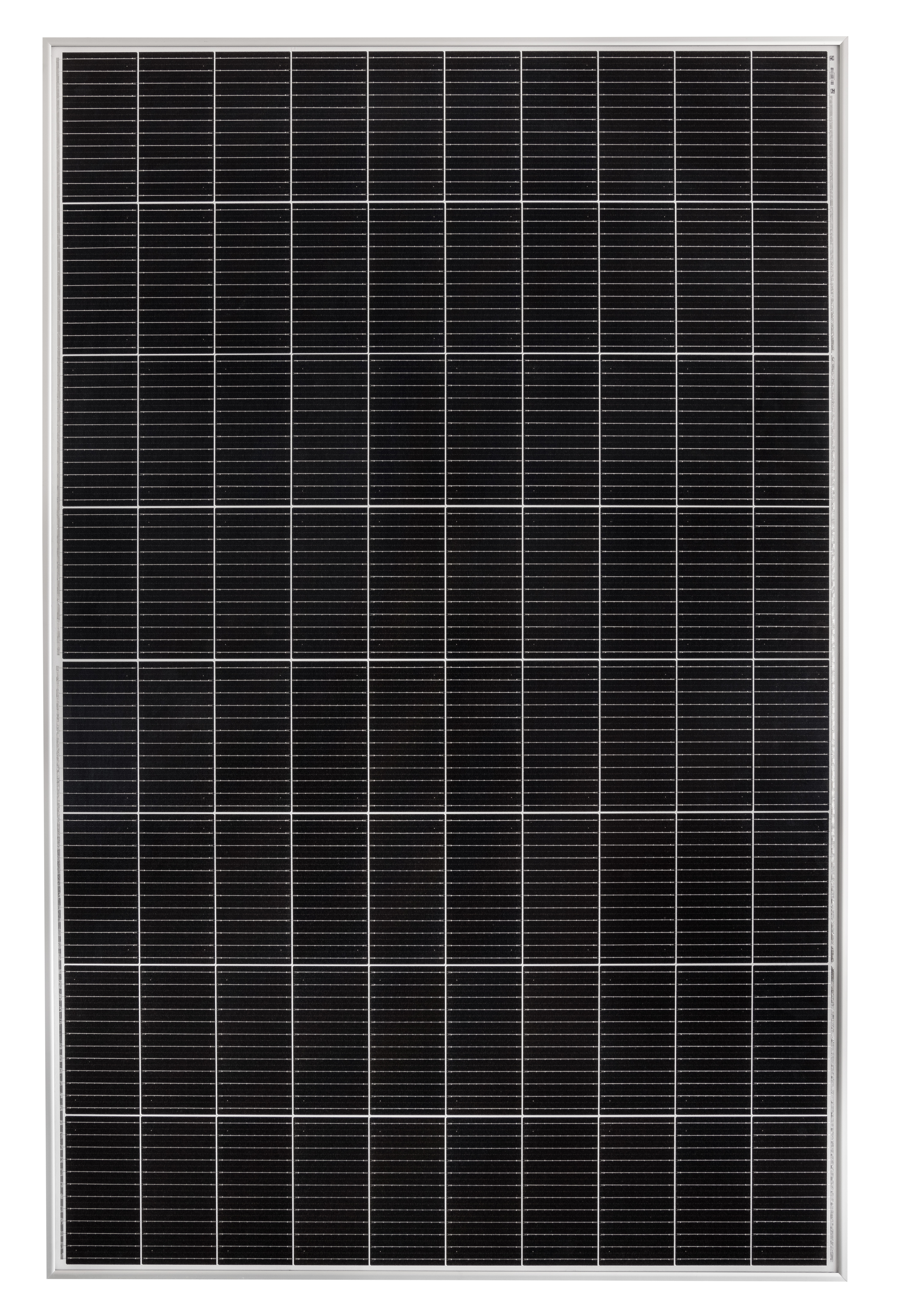 # Heckert Solar NeMo 4.2 80M(A) 390W Solarmodul NeMo schwarz Halbzelle
