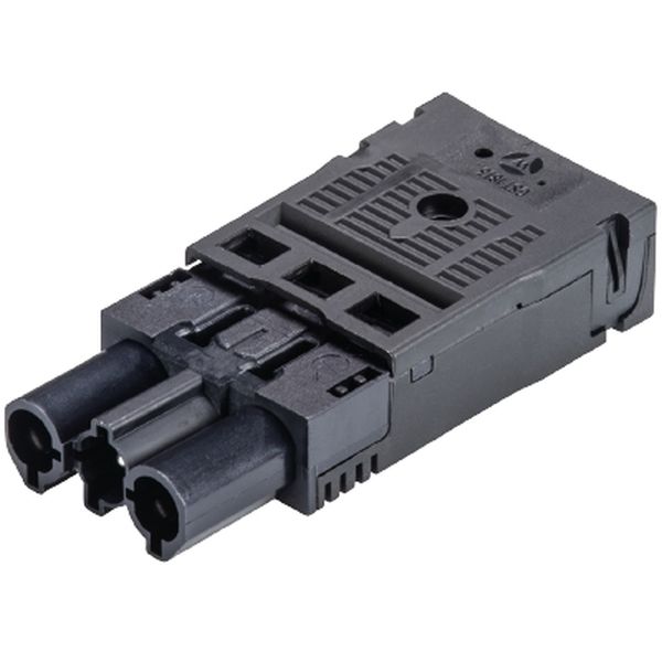 Wieland 92.934.0053.1 Steckverbinder