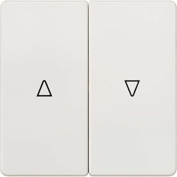 5TG6214 i-syst Wippe 2-fach tws mit Symbol Auf/Ab