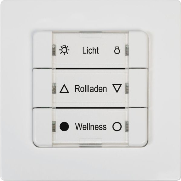 Rademacher 9494-1 DuoFern Mehrfachwandtaster Batterieb ultra weiß